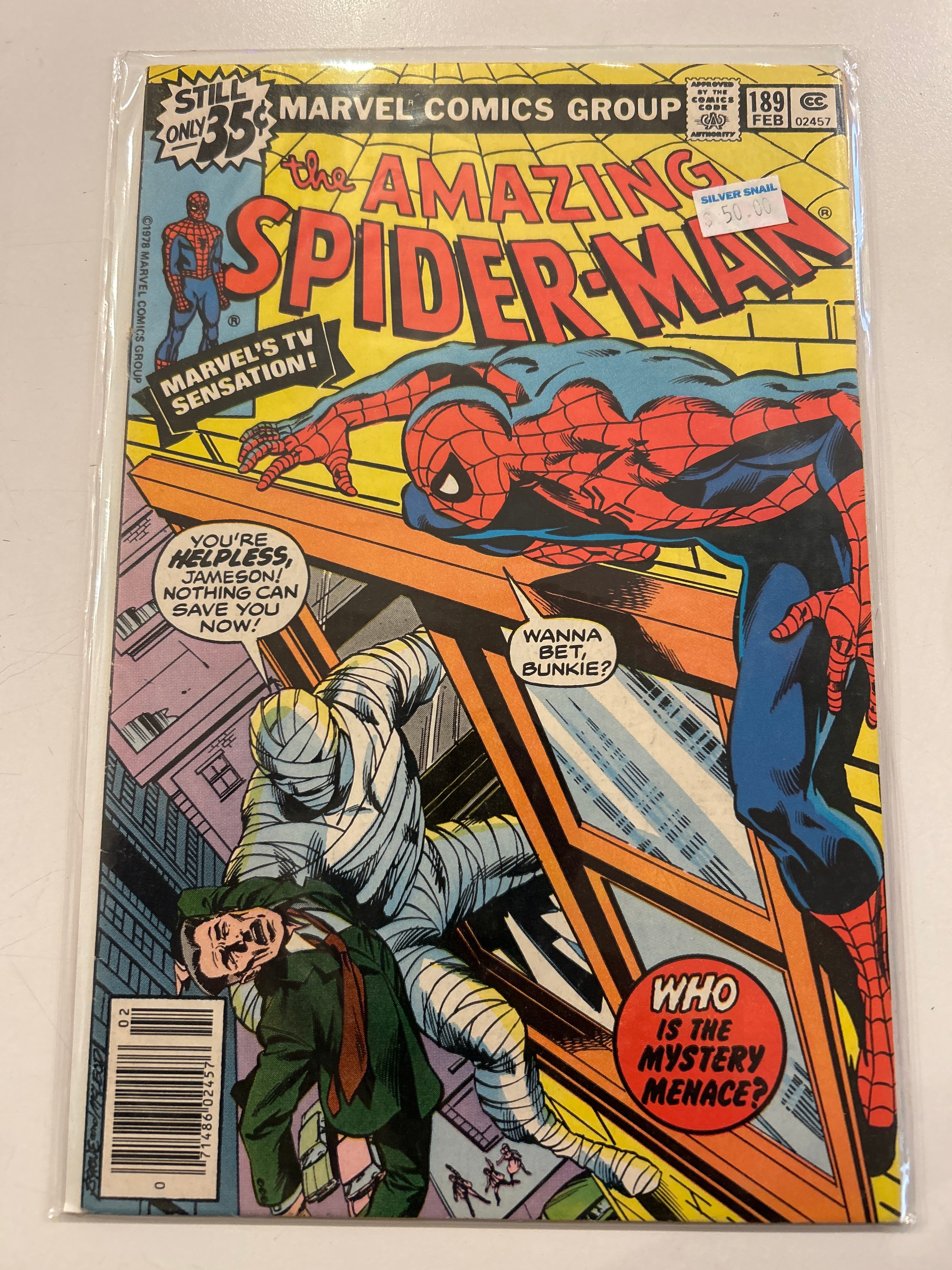 The Amazing Spider-Man Vol. 1 (1963-1998, 2003-2014) #189