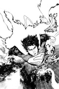 Absolute Superman #16 Cover D Mahmud Asrar Card Stock Variant