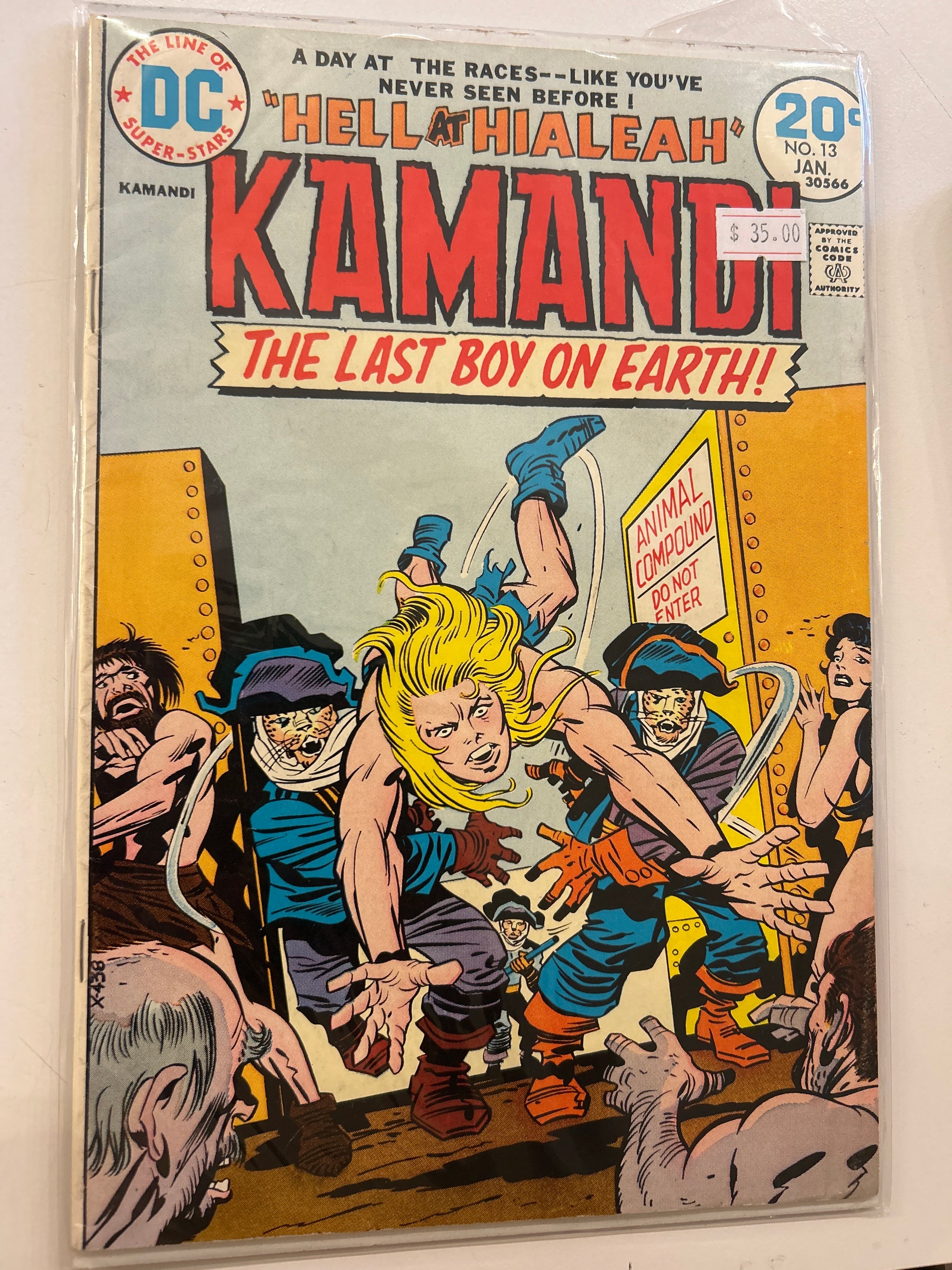 Kamandi: The Last Boy on Earth #13(1972-1978)