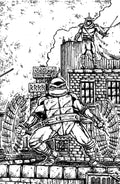 Teenage Mutant Ninja Turtles #23 Variant Ri (10) (Eastman & Bishop Black & White Full Art)
