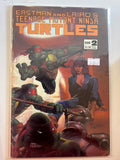 Teenage Mutant Ninja Turtles Vol. 1 #2 (1984-1993)