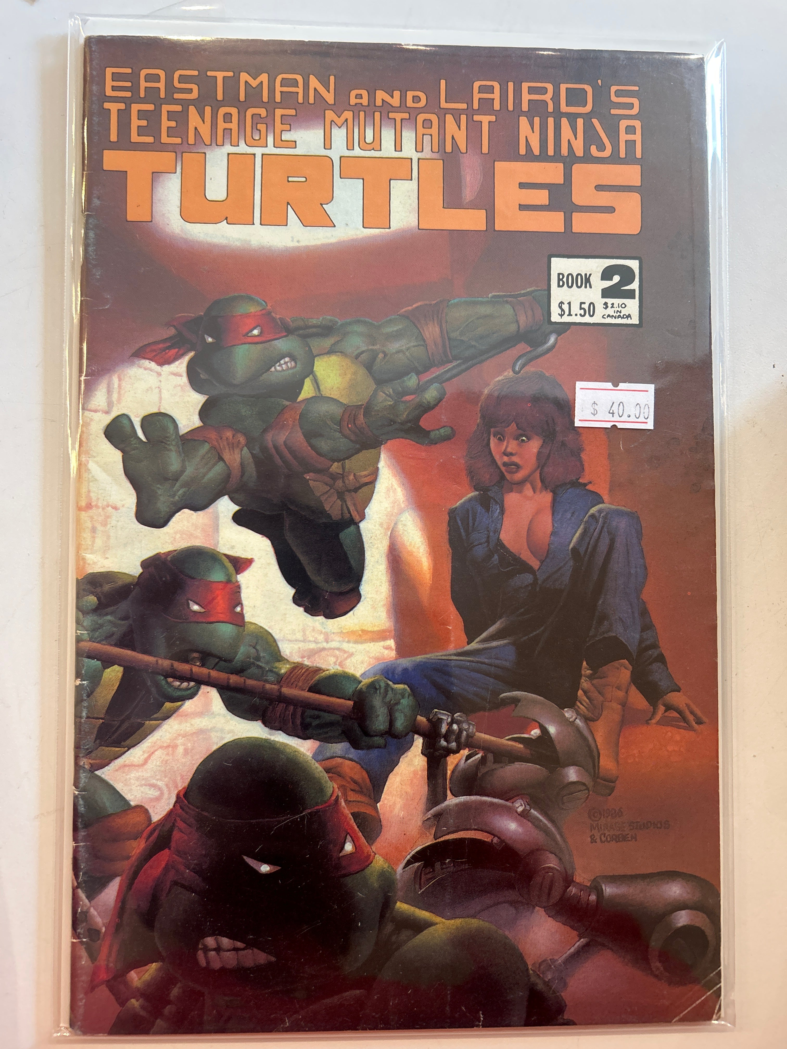 Teenage Mutant Ninja Turtles Vol. 1 #2 (1984-1993)