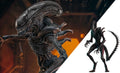 Scorched Xenomorph Alien Sixth Scale Figure