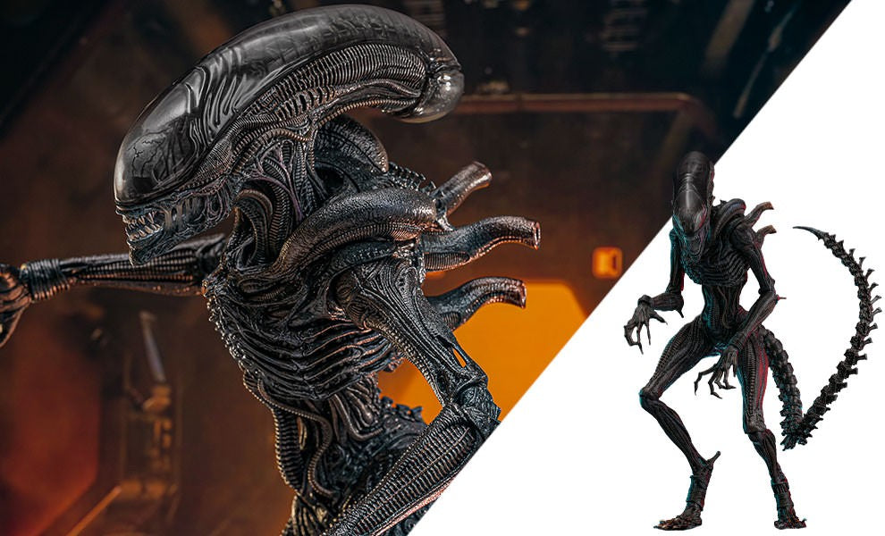 Scorched Xenomorph Alien Sixth Scale Figure