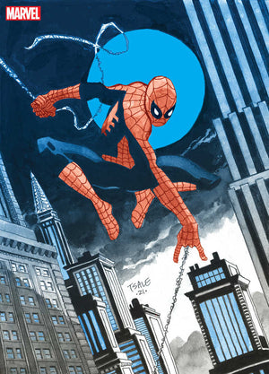 Jeph Loeb Tim Sale Spider-Man Gallery Edition Hardcover Direct Market Variant
